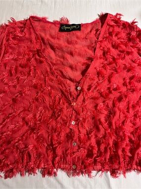 Spoon Jeans Red Textured Button-Front Blouse